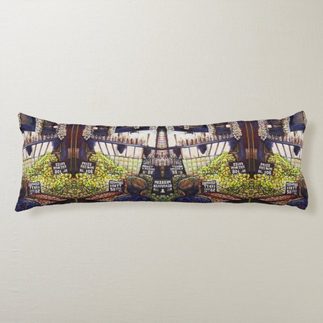 Dimensions of Curiosity Body Pillow (Front)