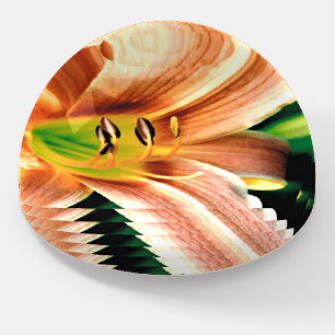 Diminishing Daylily Paperweight