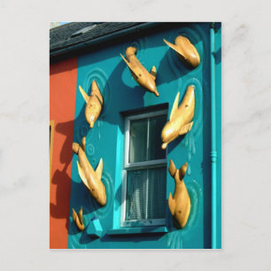 Dingle Dolphins on Souvenir Shop Postcard