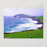 Dingle Ireland Postcard