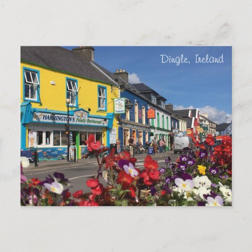 Dingle Ireland Postcard