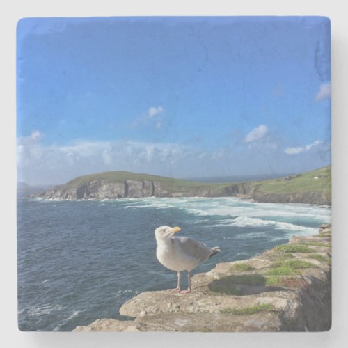 Dingle Peninsula Ireland Seagull Coaster