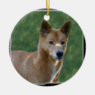 Dingo Christmas Ornament