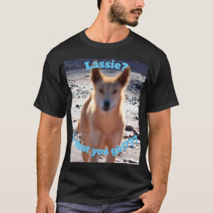 Dingo Lassie T-Shirt