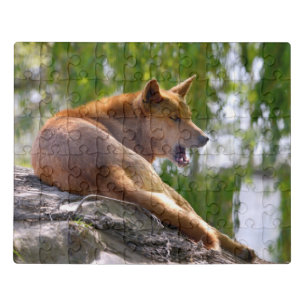Dingo lying on rock postcard metal ornament T-Shir Jigsaw Puzzle