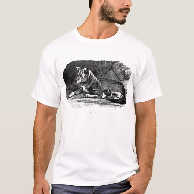 dingo T-Shirt (Front)