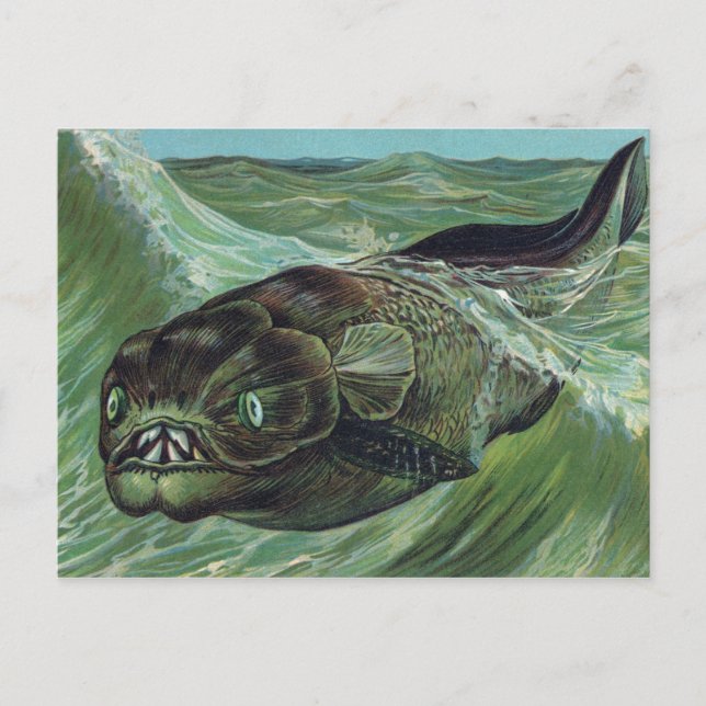 Dinicthys Prehistoric Animal Postcard (Front)