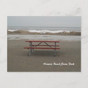 Dining Alone Postcard