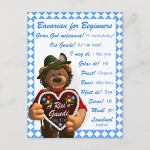 Dinky Bears Bavarian for Beginners Postcard
