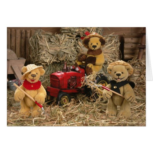 Dinky Bears: Farmer Kids (Front Horizontal)