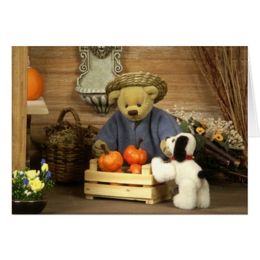 Dinky Bears Little Gardener Cards (Front Horizontal)