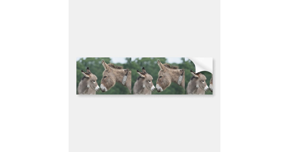 Dinky donkey bumper sticker Zazzle