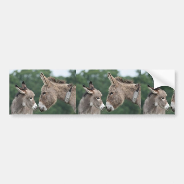 Dinky donkey bumper sticker (Front)