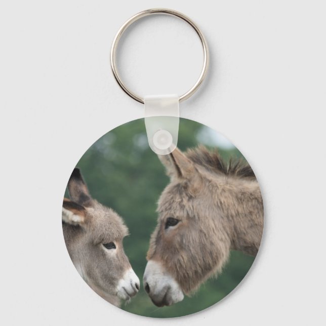 Dinky donkey keychain (Front)