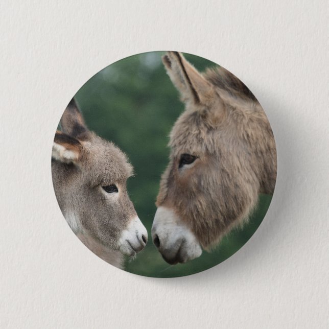 Dinky donkey pinback button (Front)