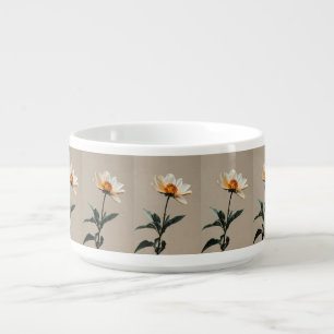 Dinner Bowls