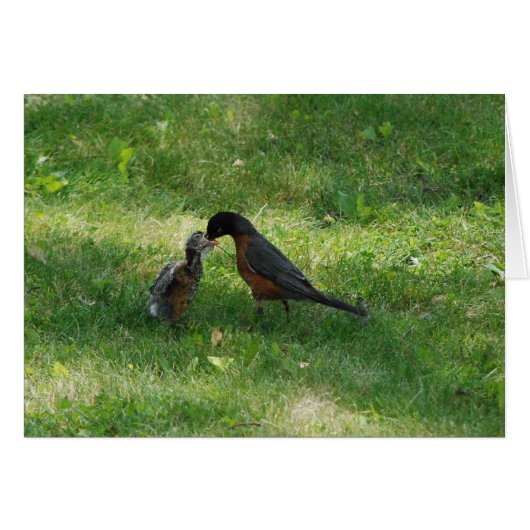 Dinner Time! (Front Horizontal)