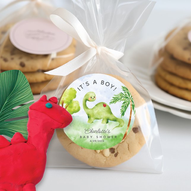 Dino Delight Baby Shower It's a Boy Classic Round Sticker (Creator Uploaded)