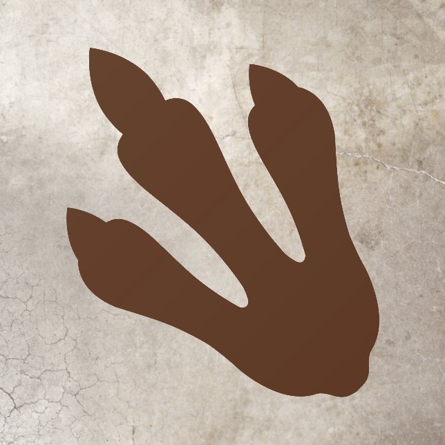 Dino Dig Birthday Dinosaur Footprint Floor Decal (Insitu)