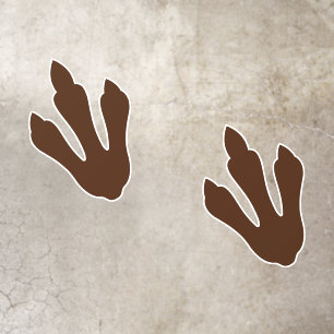 Dino Dig Birthday Dinosaur Tracks Floor Decals