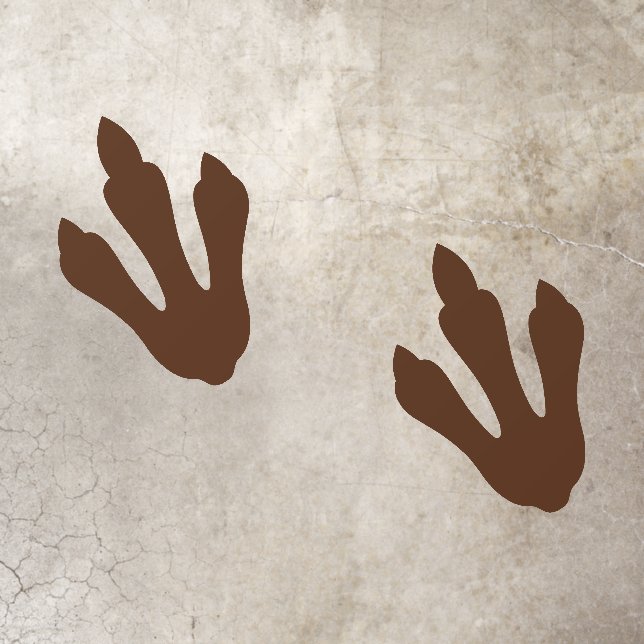 Dino Dig Birthday Dinosaur Tracks Floor Decals (Insitu)