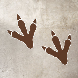 Dino Dig Birthday Dinosaur Tracks Floor Decals