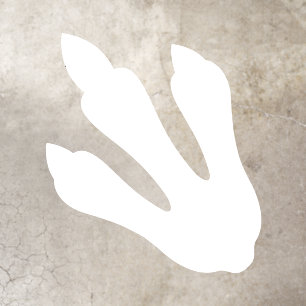 Dino Dig Birthday White Dinosaur Footprint Floor Decals