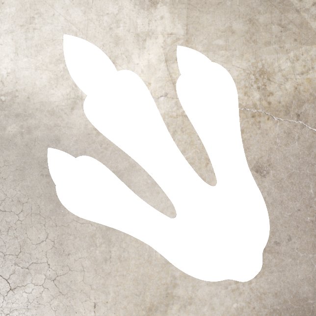 Dino Dig Birthday White Dinosaur Footprint Floor Decals (Insitu)