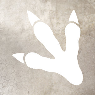 Dino Dig Birthday White Dinosaur Footprint Floor Decals