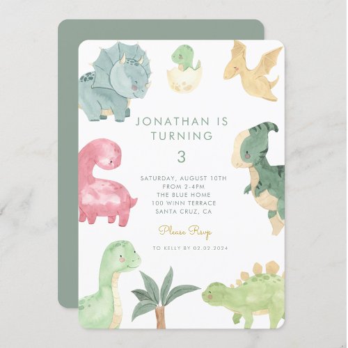 Dino Party Dinosaur Birthday  Invitation