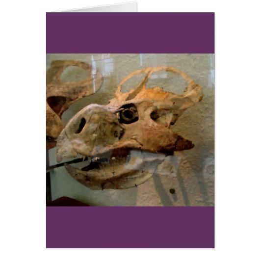 Dino Skull Cards (Front)
