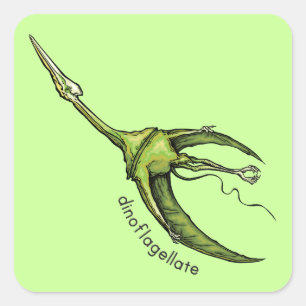 Dinoflagellate Square Sticker