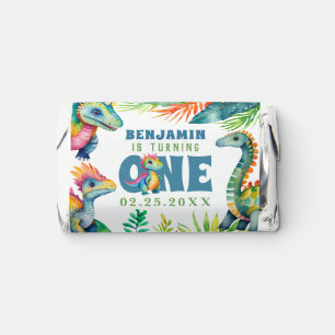 Dinosaur 1st Birthday Party Boy Cute Tropical Hershey's Miniatures