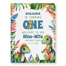 Dinosaur 1st Birthday Party Cute Baby Boy Welcome