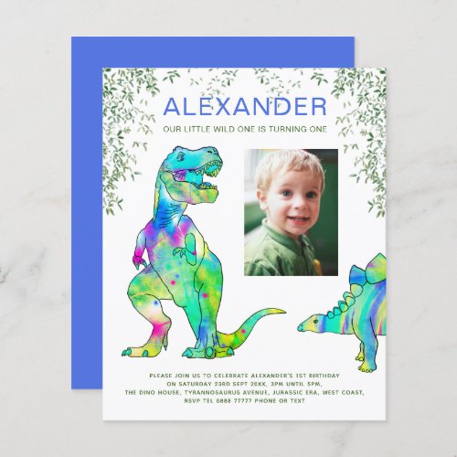 Dinosaur 1st Birthday Party Photo Budget blue