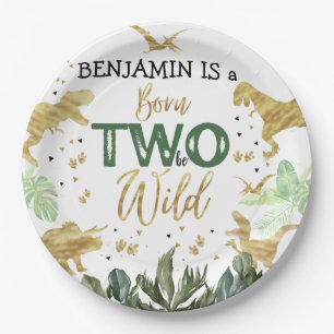 Dinosaur 2nd Birthday Party Paper Plates