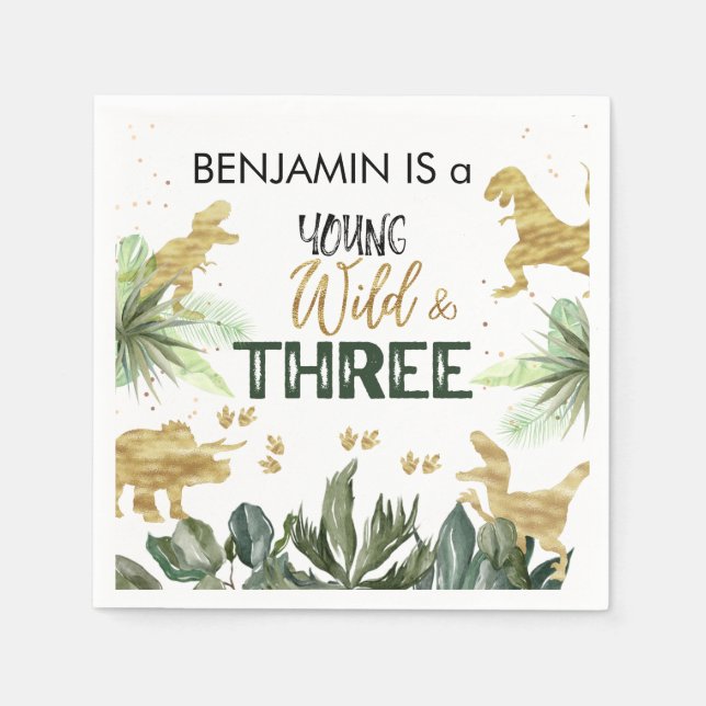 Dinosaur 3rd Birthday boy Party Napkins (Front)