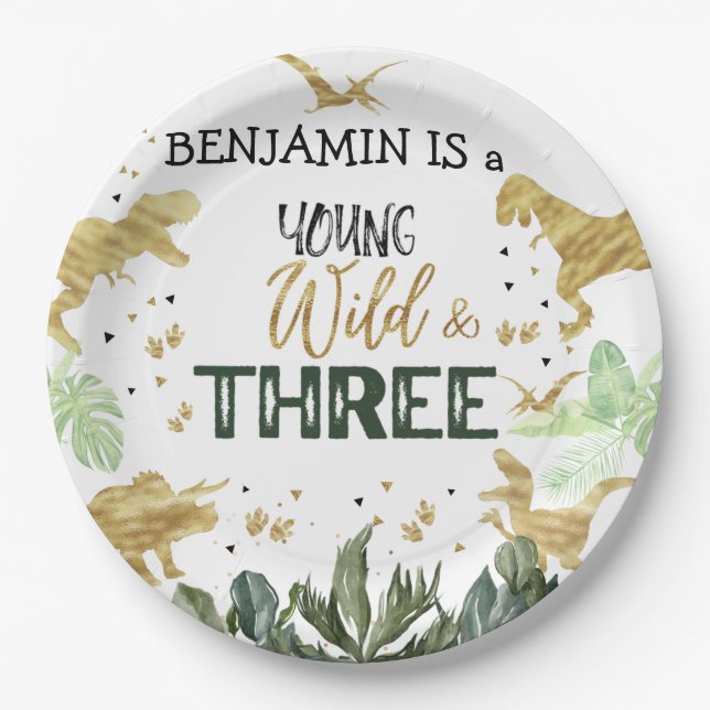 Dinosaur 3rd Birthday boy Party Paper Plates (Front)