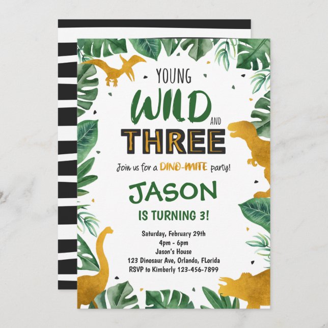 Dinosaur 3rd Birthday Invitation, Dinosaur Invites (Front/Back)