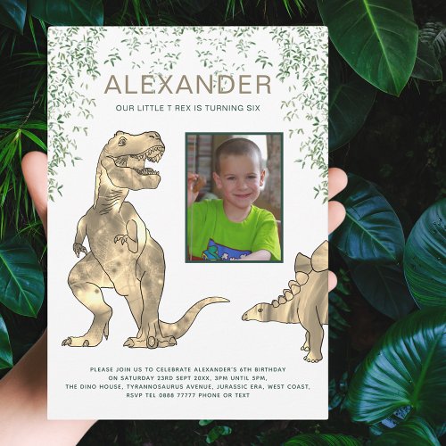 Dinosaur 6th Birthday Party Invitation