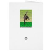 Dinosaur Aucasaurus Cards (Back)