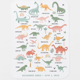 Dinosaur Baby Blanket