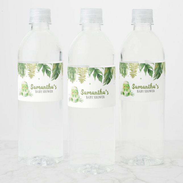 Dinosaur Baby Shower  Water Bottle Label (Bottles)