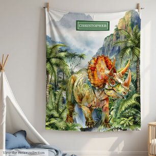 Dinosaur Birthday Blanket Boys Personalized Gift