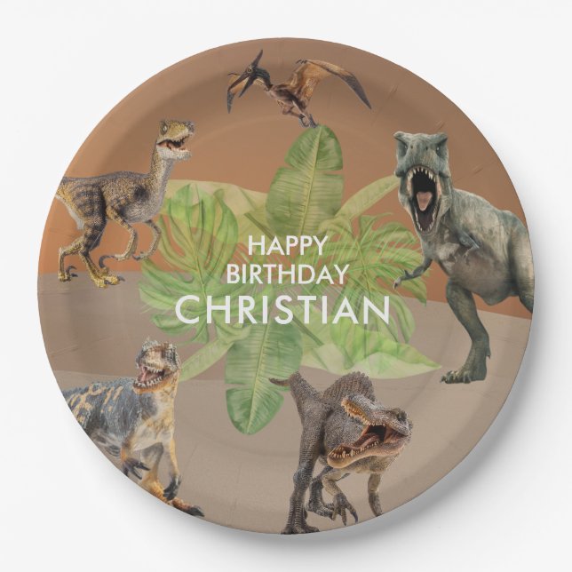 Dinosaur Birthday Party T Rex Paper Plates (Front)