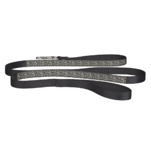 Dinosaur Bone Adventure Pet Leash