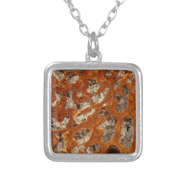 Dinosaur bone under the microscope silver plated necklace (Front)