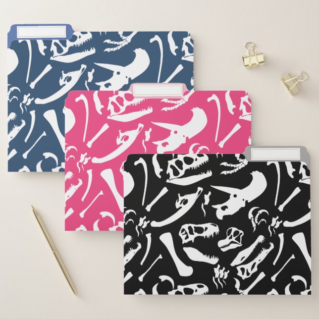 Dinosaur Bones File Folder (Set)