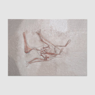 Dinosaur Bones Old Prehistoric Sketch Art Tissue Paper