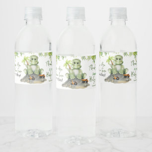 Dinosaur Boy Baby Shower Water Bottle Label